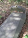 image of grave number 368145